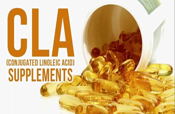 Conjugated Linoleic Acid Is CLA Miracle or Common Sense