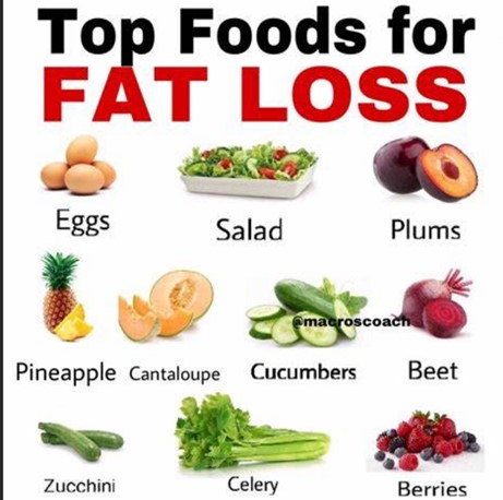 Diet, Fitness and Fat Loss