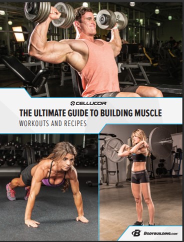 The Ultimate Guide to Building Muscle